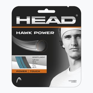 HEAD Hawk Power teniso stygos 12 m pilkos spalvos 281022