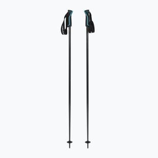 Slidžių lazdos HEAD Frontside carbon black/speed blue