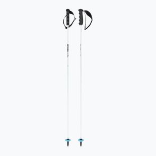 Slidžių lazdos HEAD Worldcup Rebels Carbon white
