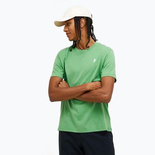 Vyriški marškinėliai Peak Performance Explore Graphic peppermint