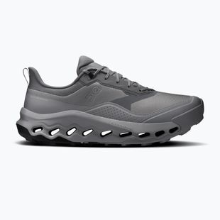 Vyriški trekingo batai On Cloudhorizon 2 Waterproof rock/alloy