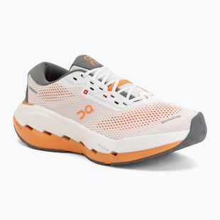Vyriški bėgimo batai On Cloudrunner 3 Max white/autumn