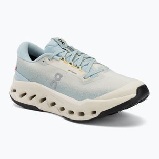 Moteriški bėgimo batai On Cloudsurfer Trail 2 Waterproof grain/brook