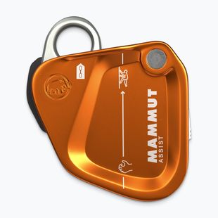 Savaros priemonė Mammut Assist Belay Resistor gold