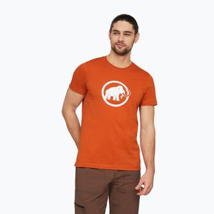 Vyriški marškinėliai Mammut Core T-Shirt Men Classic autumn larice