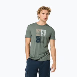 Vyriški marškinėliai Super.Natural Go Hiking Tee eucalyptus/various