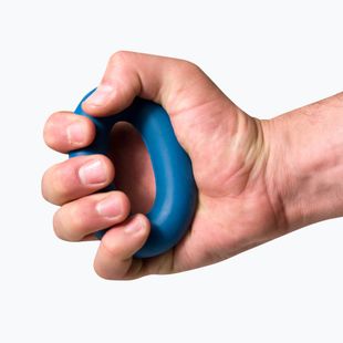 Treniruočių įrenginys Black Diamond Forearm Trainer