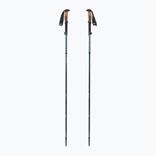 Žygio lazdos Black Diamond Trail Vista FLZ Trekking midnight blue