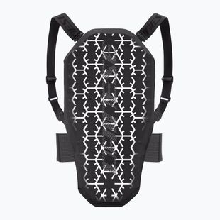 Nugaros apsauga Dainese Flexagon Back Protector 2 stretch limo/white