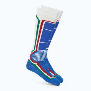 Slidinėjimo kojinės Mico Light Weight Odor Zero X-Static Ski white