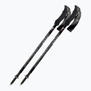 Žygio lazdos  Fizan Compact MS black