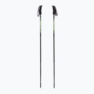Žygio lazdos  Fizan Compact green