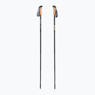 Žygio lazdos  Fizan Compact Tech 4 beige
