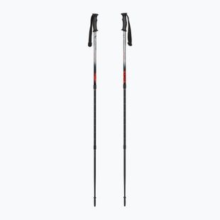 Žygio lazdos  Fizan Explorer beige/red