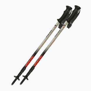 Žygio lazdos  Fizan Explorer beige/red