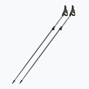 Šiaurietiško ėjimo lazdos Fizan Carbon Pro Impulse grey