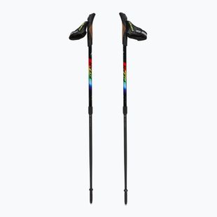 Šiaurietiško ėjimo lazdos Fizan Speed Junior rainbow