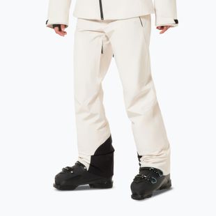 Moteriškos slidinėjimo kelnės Oakley Canopy Insulated 32F mist