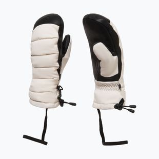 Moteriškos slidinėjimo pirštinės Oakley Wmns B1B Winter Mittens mist
