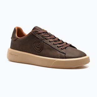 Vyriški batai Blauer USA F6BUCK13 brown