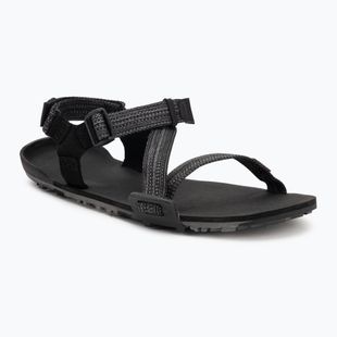 Vyriški barefoot sandalai Xero Shoes Z-Trail EV multi / black