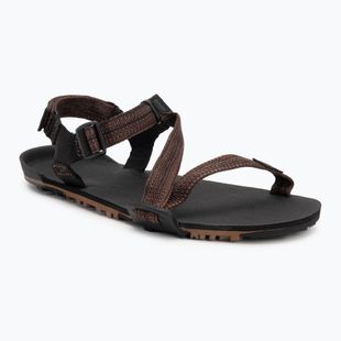 Vyriški barefoot sandalai Xero Shoes Z-Trail EV multi / brown