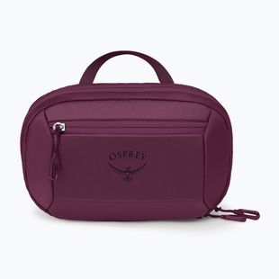 Kosmetinė Osprey Ozone Powerhouse moody burgundy