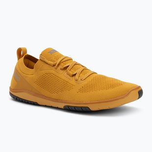 Vyriški barefoot batai Xero Shoes Nexus Knit gold
