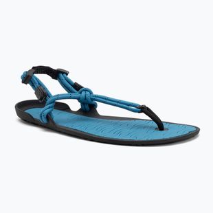 Vyriški basų kojų sandalai Xero Shoes Aqua Cloud blue/sapphire