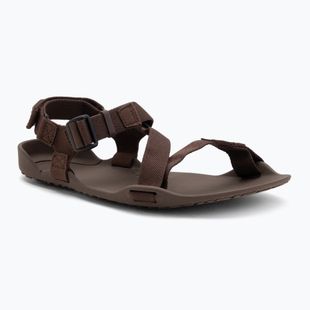 Vyriški basų kojų sandalai Xero Shoes Z-Trek brown