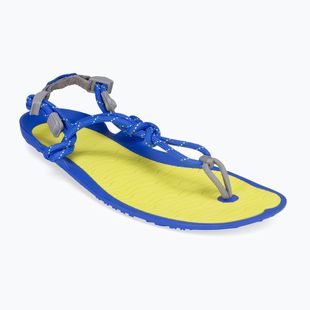 Vyriškos barefoot basutės Xero Shoes Aqua Cloud safety/yellow