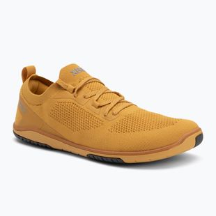 Moteriški barefoot batai Xero Shoes Nexus Knit gold