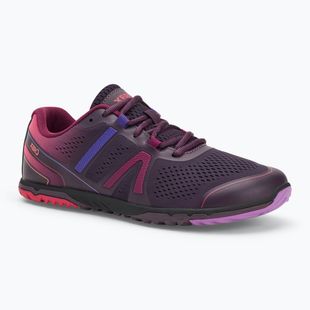 Moteriški barefoot batai Xero Shoes HFS II gradient purple