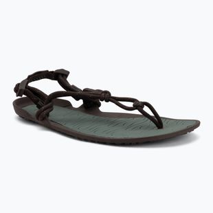 Vyriškos barefoot basutės Xero Shoes Aqua Cloud java/brown/dark/forest