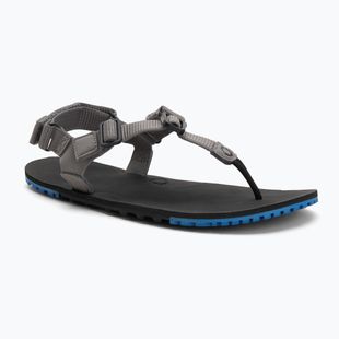 Vyriški basų kojų sandalai Xero Shoes H-Trail steel gray/blue/lolite