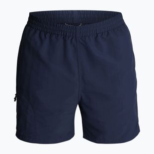 Vyriškos žygio kelnės Royal Robbins All-In navy