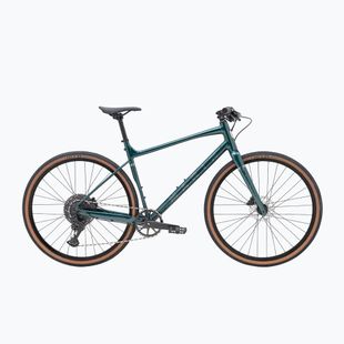 Gravel dviratis Marin DSX 1 700C green/silver