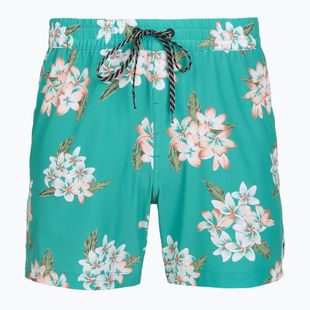 Vyriški maudymosi šortai Hurley Malaga Volley Swim Short Teal Tint