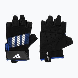 Treniruočių pirštinės adidas Performance Training Gloves blue
