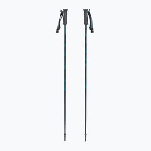 Slidinėjimo lazdos Fischer RC4 Noize grey / blue