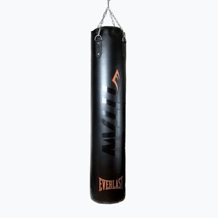 Treniruočių maišas Everlast Boxer TITAN black