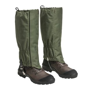 Pušies mediena Aktyvi samanų žalia