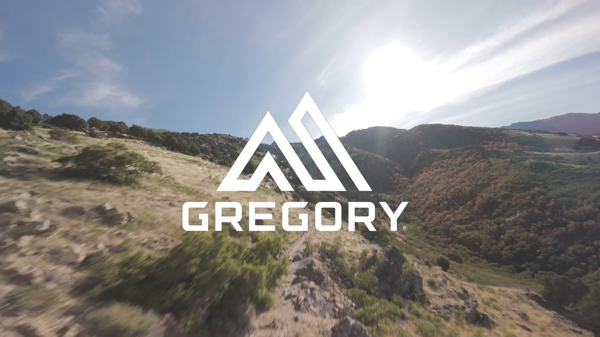 Turistinė kuprinė Gregory Kiro 24 l RC lava red