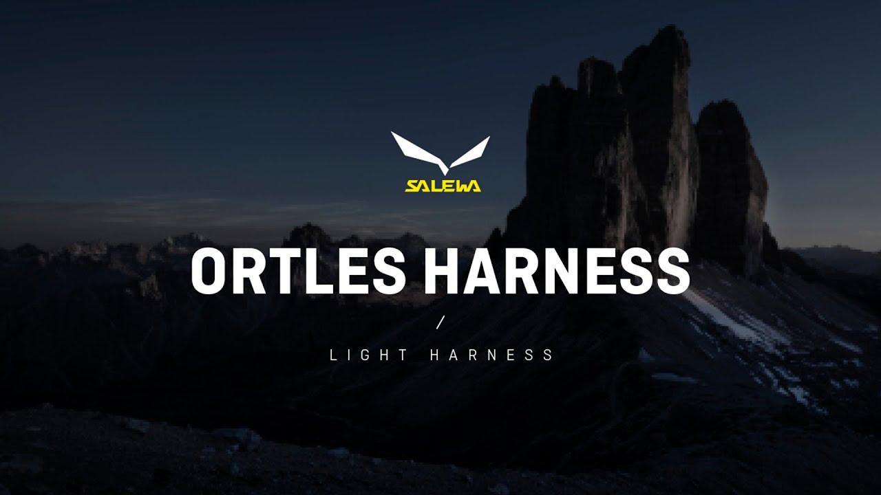 Salewa Ortles Laipiojimo petnešos geltonos spalvos 00-0000001751