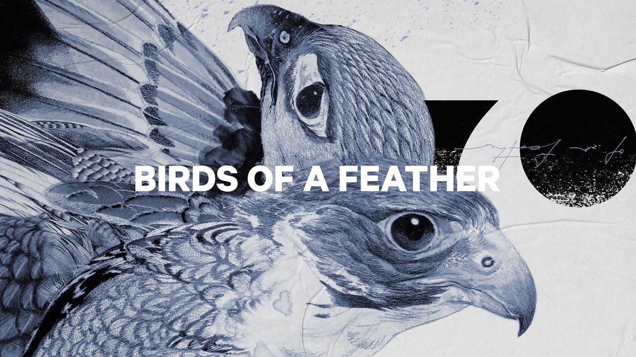 Moteriškos snieglentės CAPiTA Birds Of A Feather 1221108
