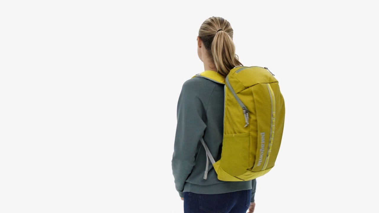 Turistinė kuprinė Patagonia Black Hole Pack 25 l pale periwinkle
