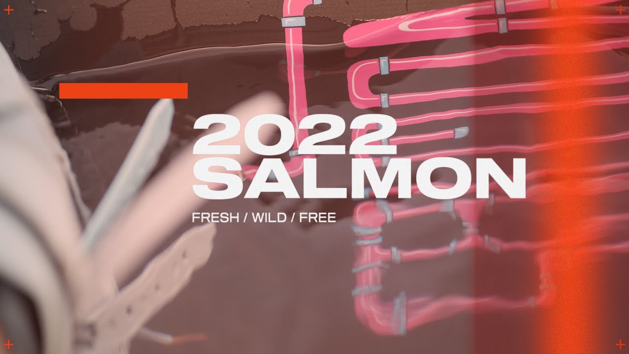 Slingshot Salmon rožinė wakeboard