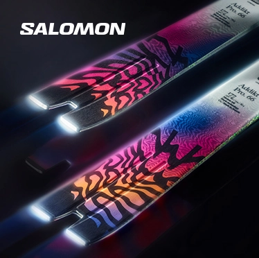 Salomon 